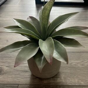 NWT faux plant from home goods/tj maxx
